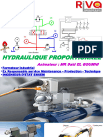 Hydraulique Proportionnel RIVA