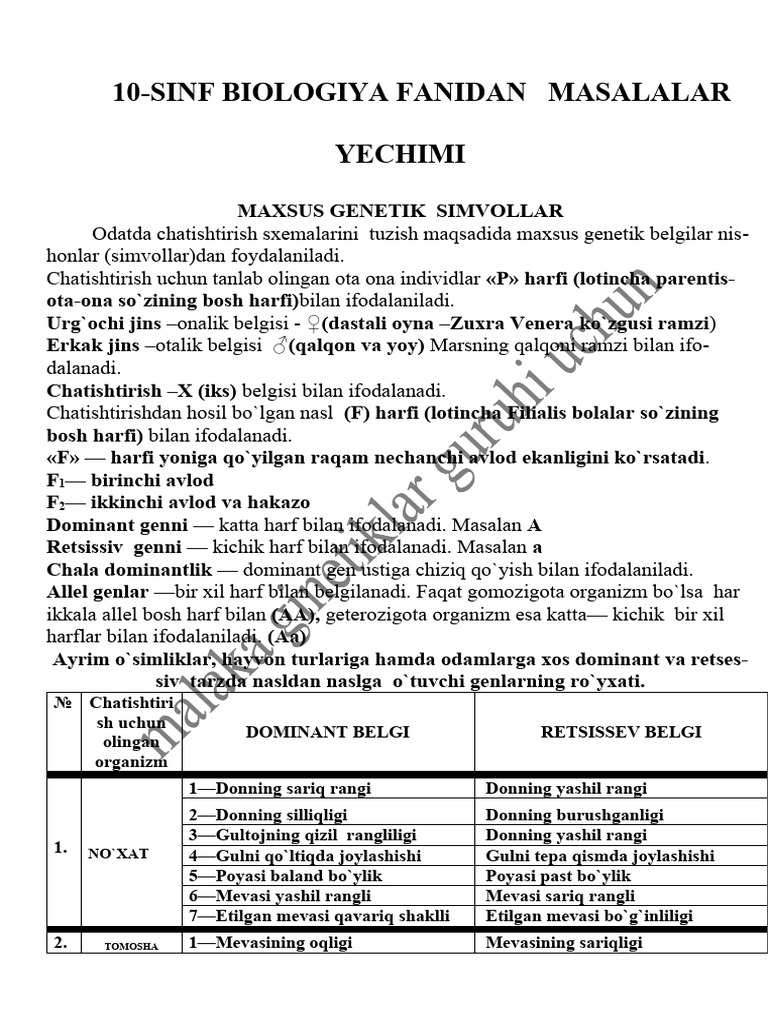 Onlayn TV seks korsatuvlari