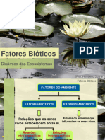 Fatores Bióticos (Inc