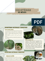 Presentacion Ecosistemas