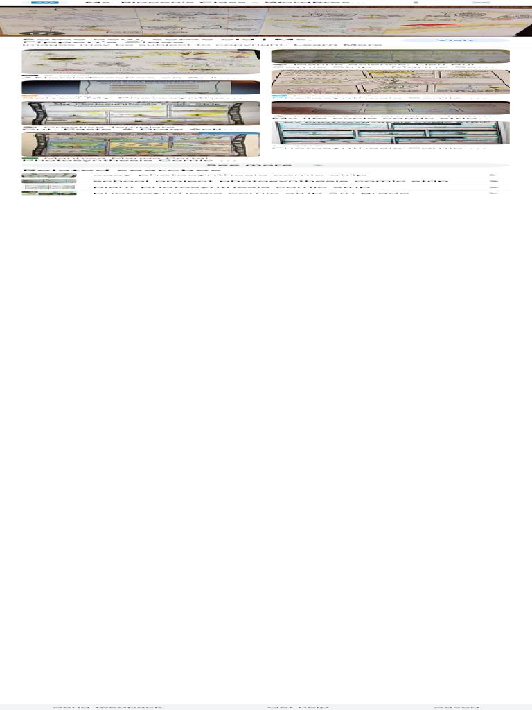 Photosynthesis and Respiration Comic Book Strip Google Search PDF