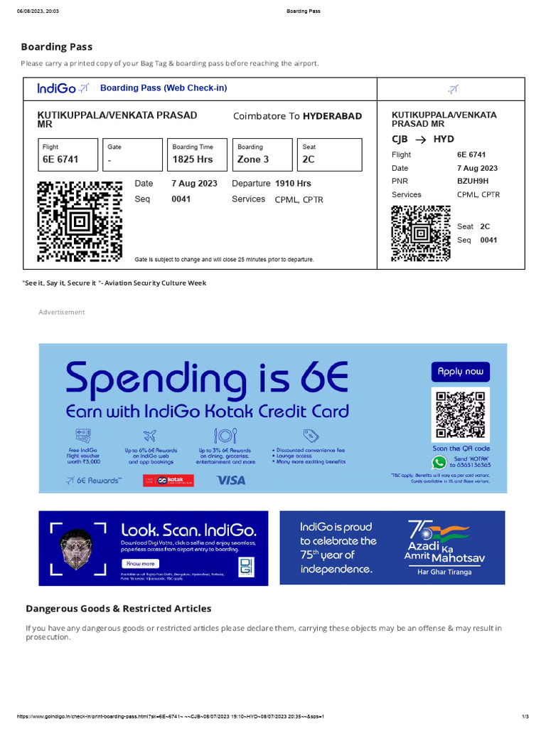 Print Boarding Pass 2 PDF