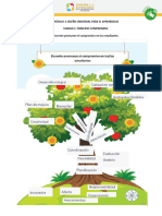 ANEXO 10. Ruta de Aprendizaje y Material Dinámica El Árbol