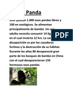 El Oso Panda