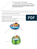 Prueba de Ciencias Naturales 7 Microorganismo Casino