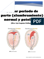 Tercer Periodo de Parto (Alumbramiento) Normal y Patológico - Dra. Lyz Laguna Gallegos