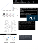 Clase 4 Acidos Nucleicos