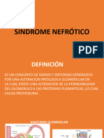 Sindrome Nefrotico Clase