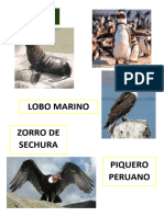 ANIMALES DEL PERU