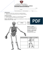 Evaluación Esqueleto Humano 4°básico