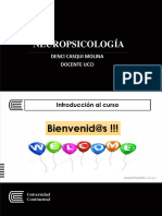 Ppts-Semana 2 - Orientaciones Neuropsicologicas