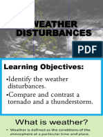 Weather Disturbances