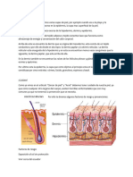 info-de-pia-bio (1)