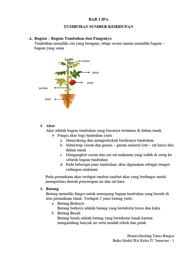 Bab 2 Ipa | PDF