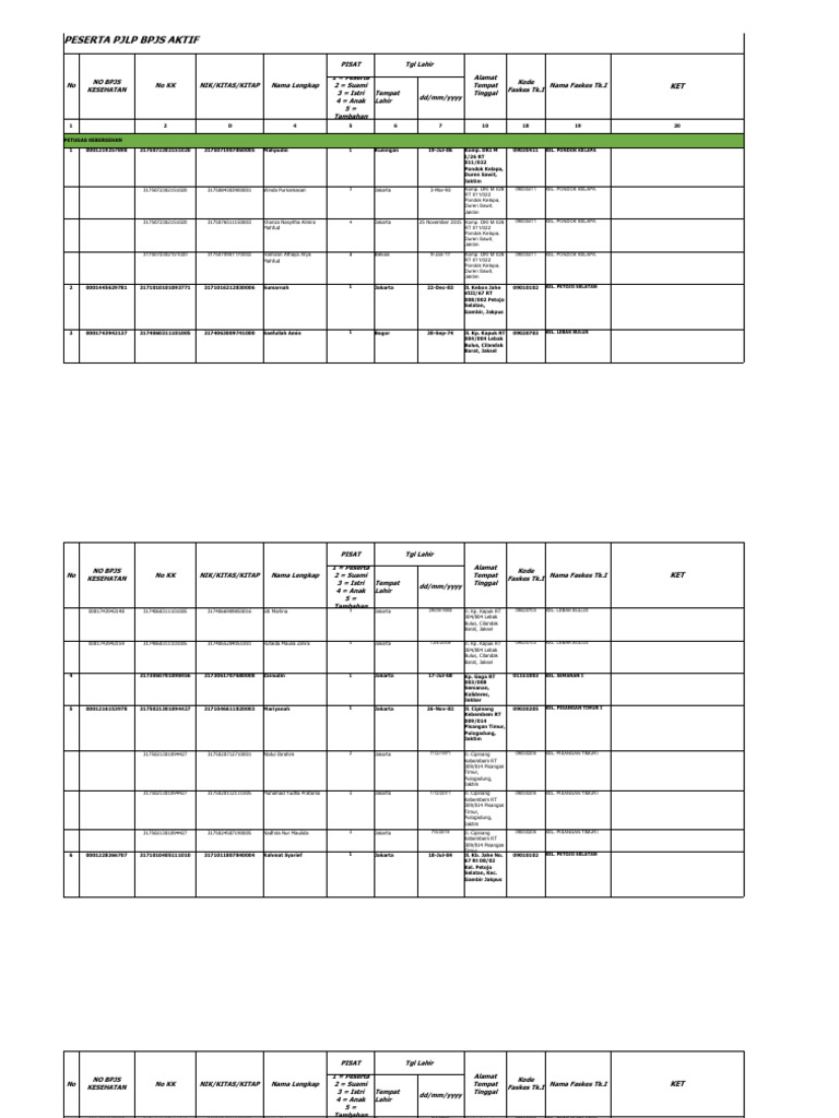 Data Peserta PJLP BPJS Aktif | PDF