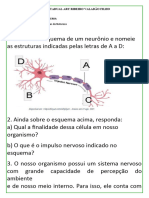 Atividade SISTEMA NERVOSO