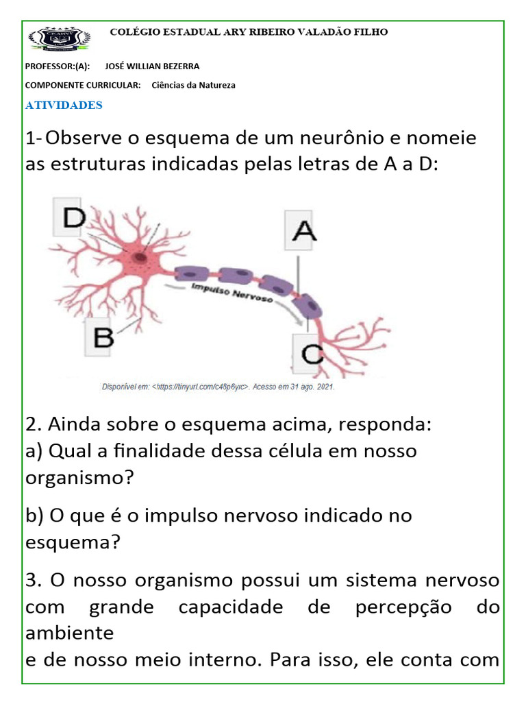 Atividades sobre o Sistema Nervoso | PDF | Sistema nervoso | Neurônio