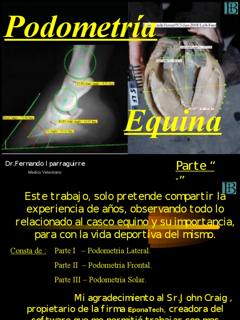 Podometría I | PDF | Longitud | Línea (geometría)