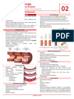 WK2 - Coronary Artery Disease