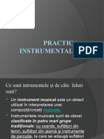 Practica Instrumentală