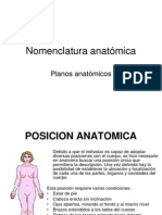 nomenclatura-anatmica