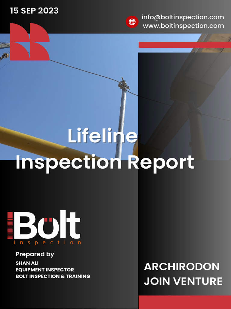 Lifeline Inspection Report Summary | PDF | Technology & Engineering
