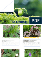 10 Herbal Plants