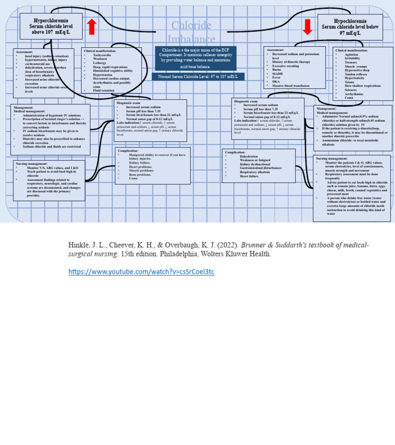 Chloride Concept Map | PDF