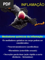 Aula Biomedina farmacologia 6