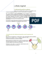 La Célula Vegetal