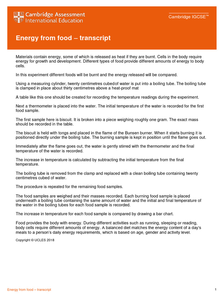 Energy From Food - Transcript | PDF