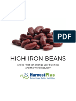 Iron Beans