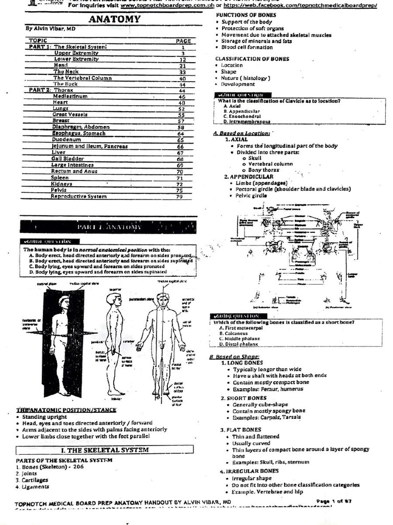 Topnotch Anatomy PDF Free PDF