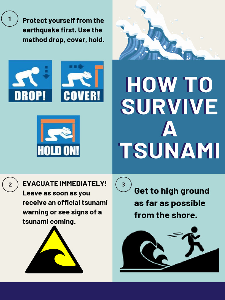 Disaster Awareness | PDF