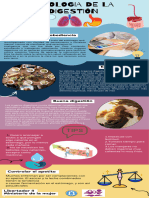 Fisiología de La Digestion - Sección 5