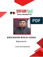 Fotocheck Erickson Roca