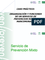 Servicios de Prevencion