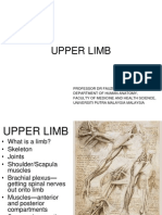 Upper Limb-Um 2011