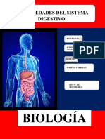 DIGESTIVO