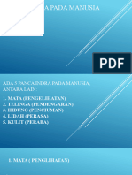 SISTEM - INDRA - PADA - MANUSIA - PPT RASTRA