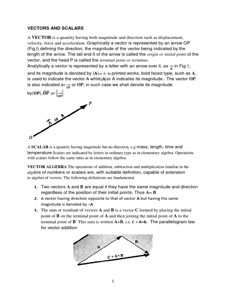 Understanding Vectors and Scalars | PDF