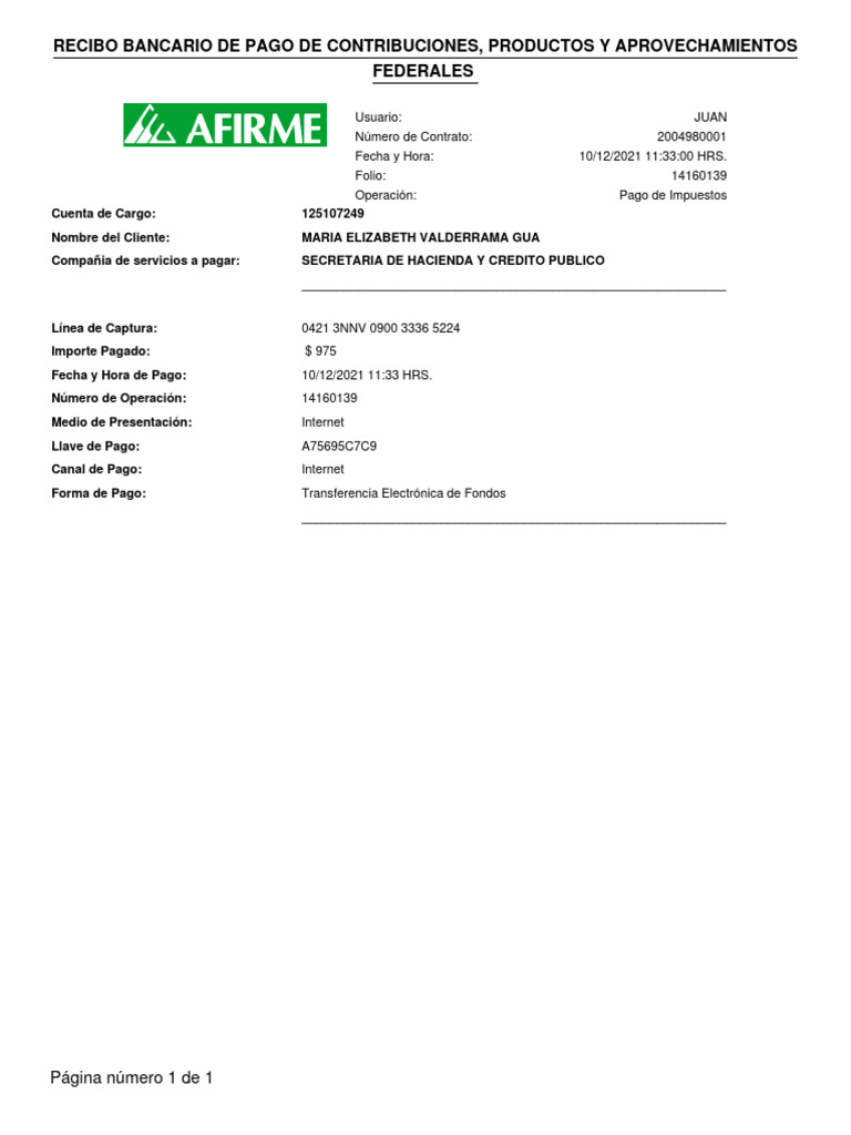 Formato Para Pago De Contribuciones Federales