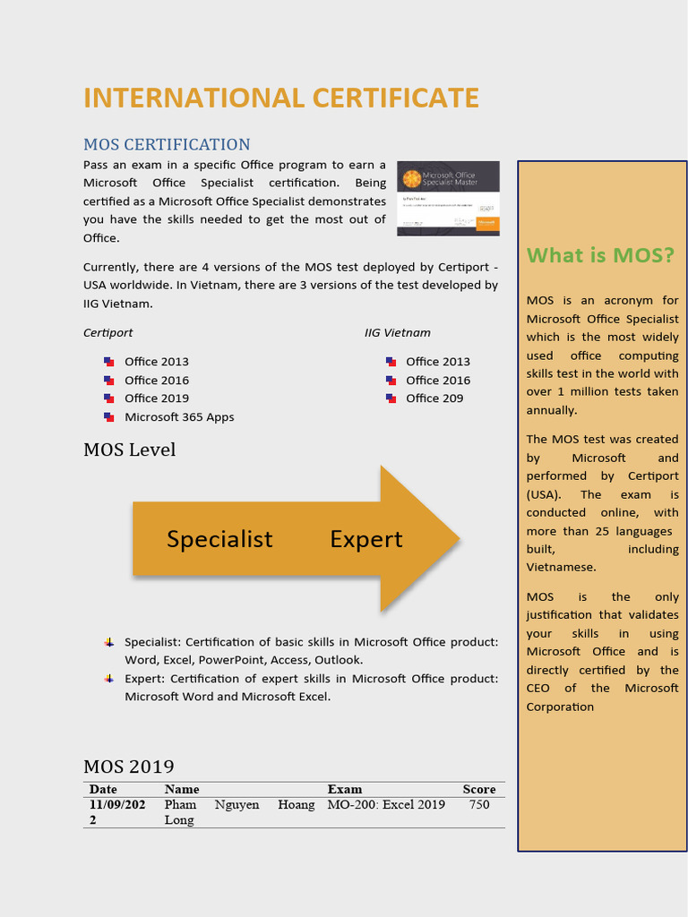 Word - Project 04 | PDF | Microsoft Office | Software