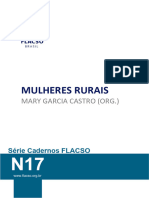 Caderno N17