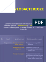 Curs 3 Campilobacterioze