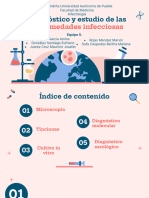 Diagnóstico y Estudio de Enf Infecciosas Equipo 5