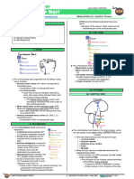 094 - Neurology Physiology) Descending Tracts - Corticobulbar Tract