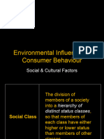 Environmental Influence On Consumer Behaviour Social & Cultural Factors