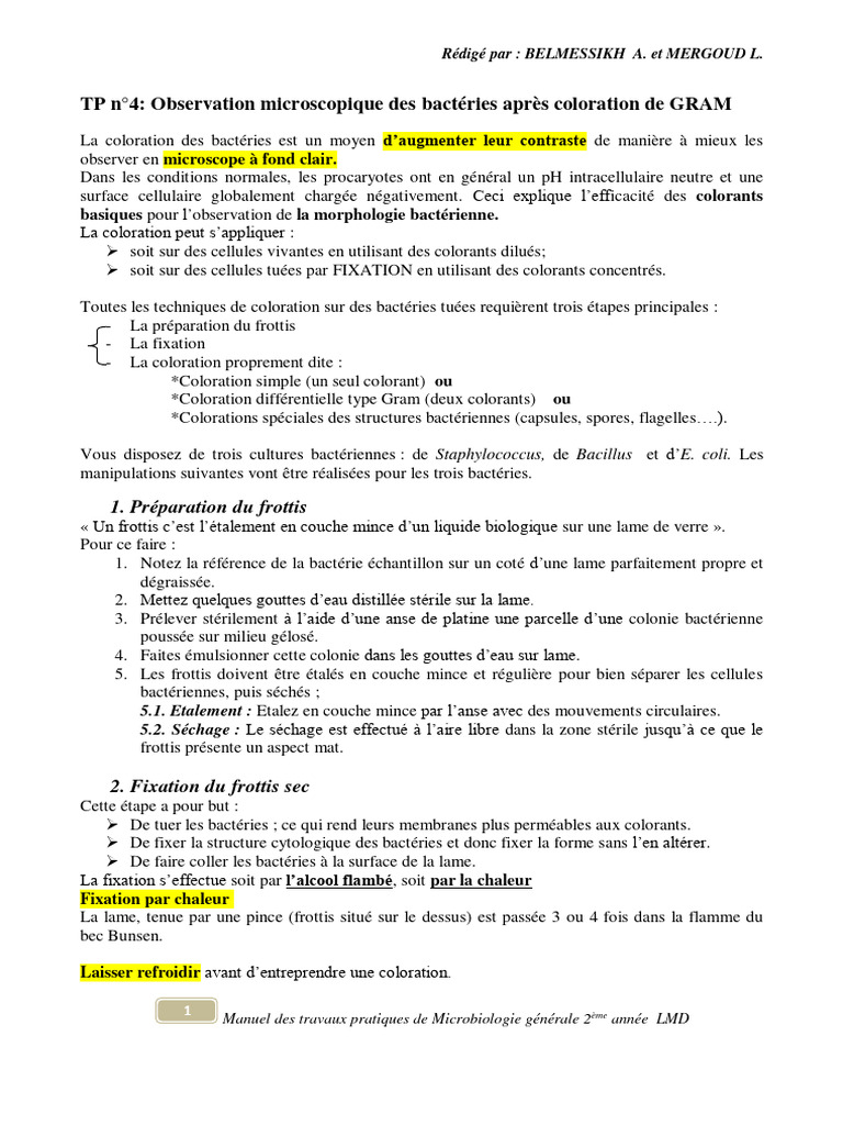 TP N 4 Microbiologie | PDF