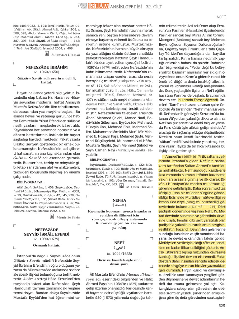 tdv-nefi-pdf